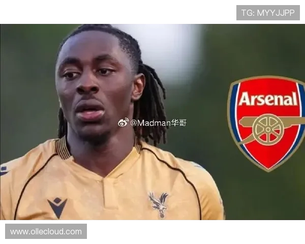 阿森纳夏窗引援展现超高性价比堪称最精明操作之一